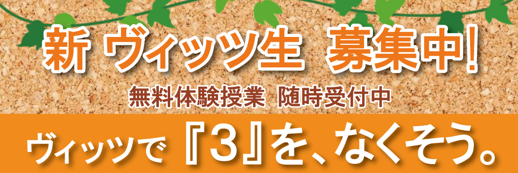 ヴィッツ生募集
